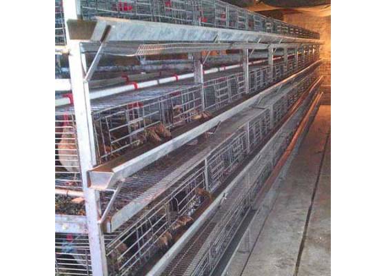 cage_checkweigher